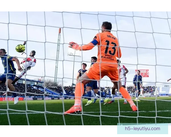 巴列卡诺草坪争议欲延期战马竞